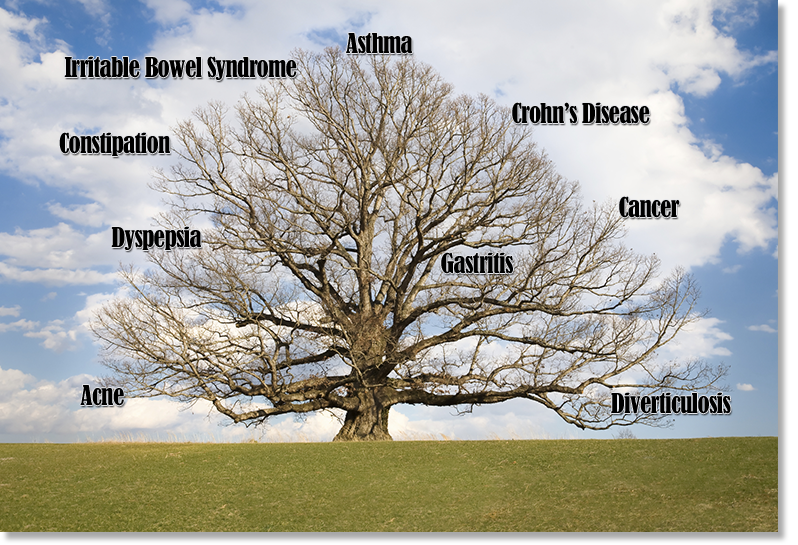 The disease symptom tree